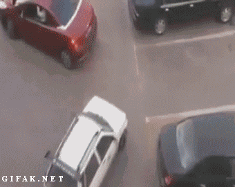 Fighting-Over-a-Parking-Spot-Can-Only-Lead-To-An-a-Dirty-Interior-For-That-Nice-Red-Car.gif