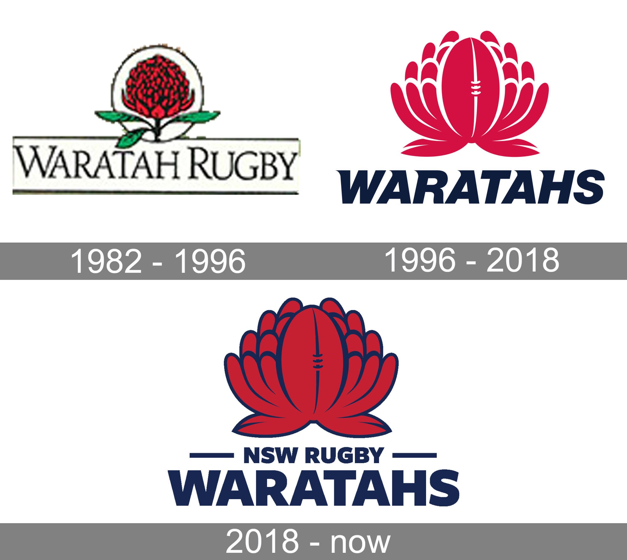 New-south-Wales-Waratahs-Logo-history.jpg