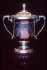 Bledisloe Cup.jpg