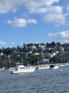 IMG_3597.jpeg