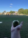 IMG_2013.jpeg
