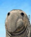 IMG_2361.jpeg