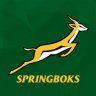 Springbokbreaker