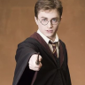 Harryslother