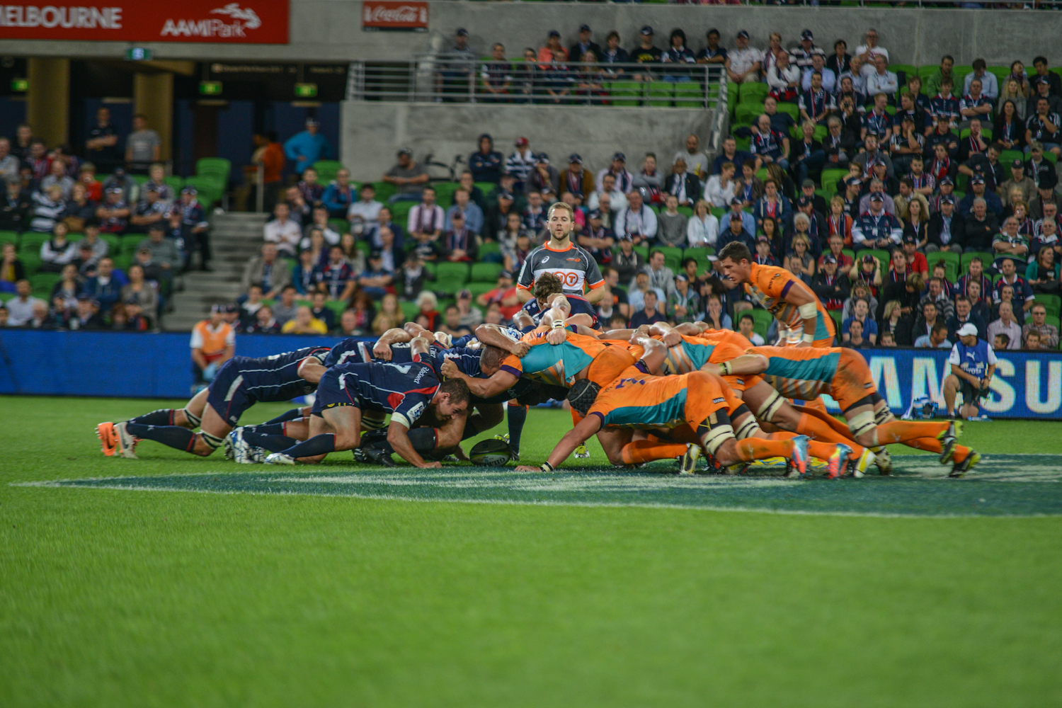 Preview Rebels V Cheetahs Green And Gold Rugby