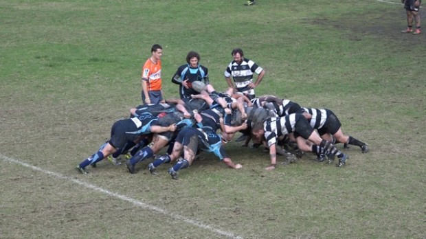 RugbySA29