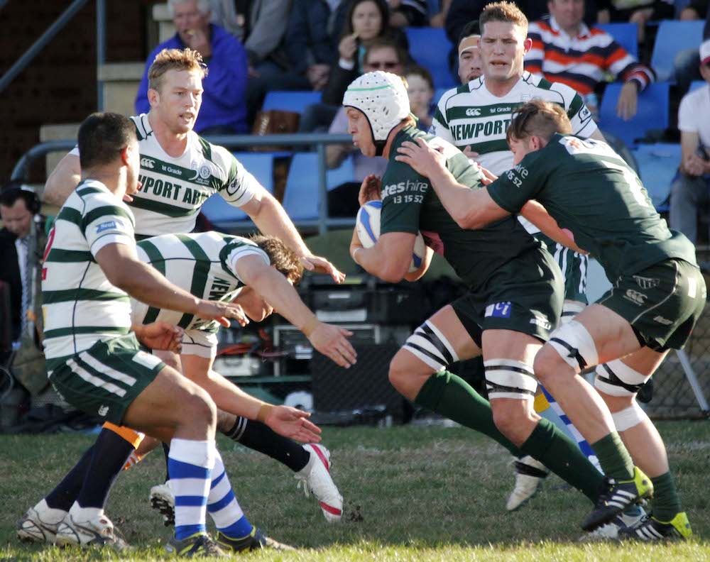 Shute Shield Round 12 Review
