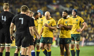 wallabies scrum sio moore