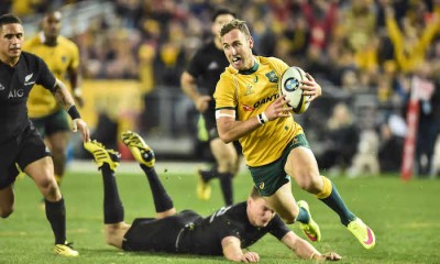 nic white try wallabies