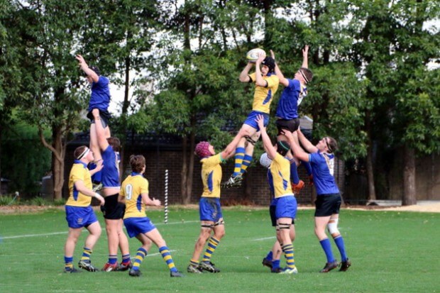 SAC win the lineout