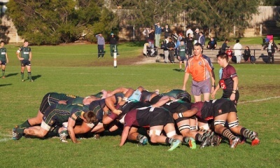 Dewar Shield Harlequin - Melbourne