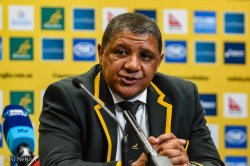 Springbok Coach Allister Coetzee at post-match press conference