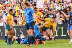 Yowie on the Loose: whoa, we’re half way there.