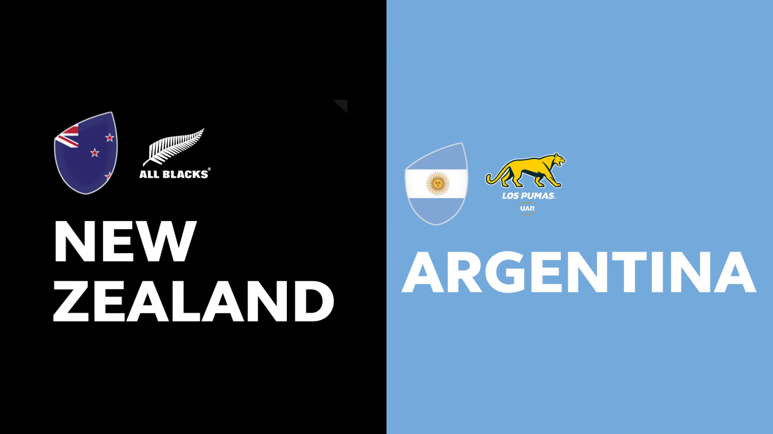 Game Review New Zealand V Argentina The Rugby Championship 17 August 2024 The All Blacks