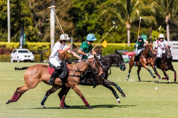 a polo match